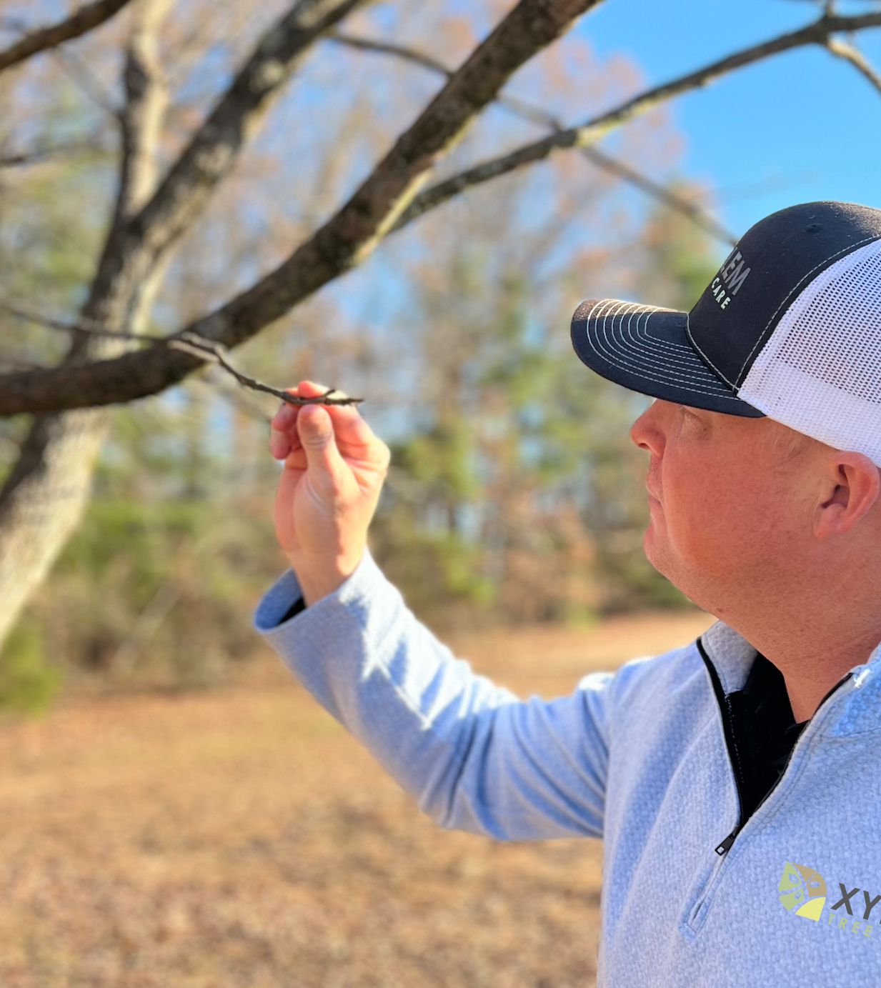 Tree Care | Norfolk, VA | Xylem Tree Care