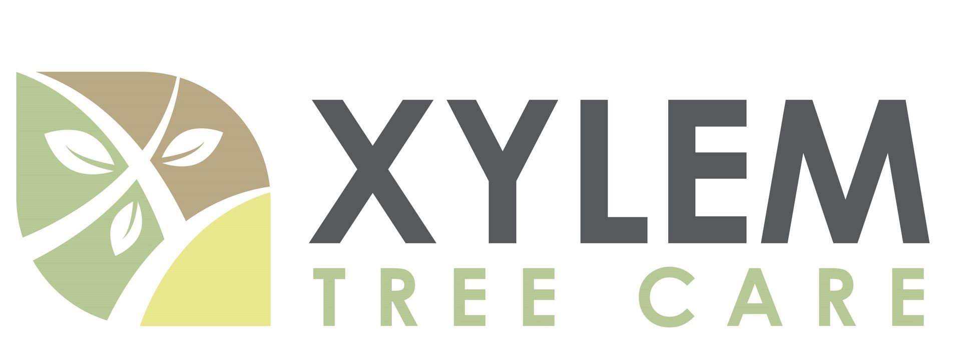 Xylem Tree Care Xylem Tree Care