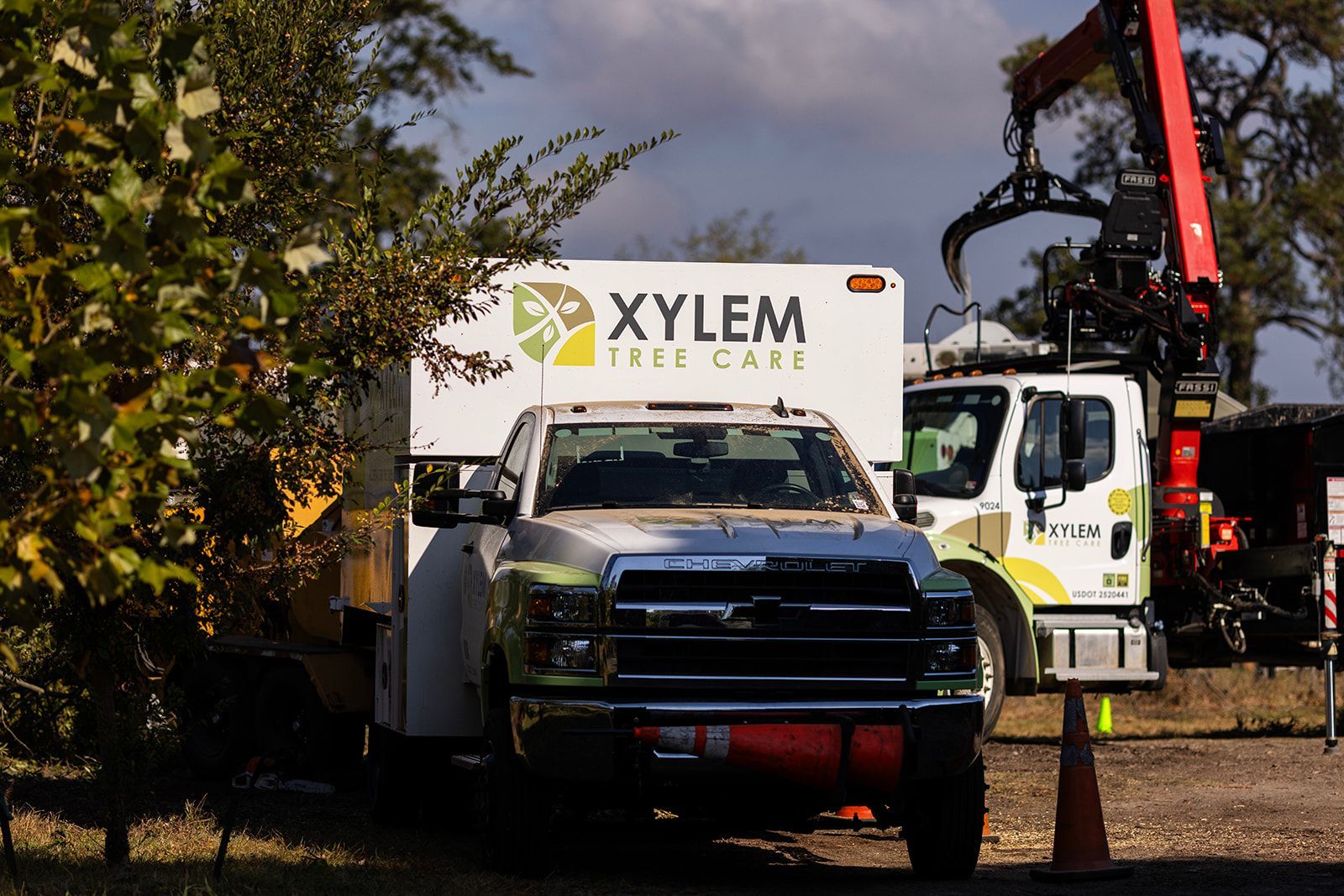 A white truck with xylem tree care written on it — Norfolk, VA — Xylem Tree Care A white truck with xylem tree care written on it — Norfolk, VA — Xylem Tree Care