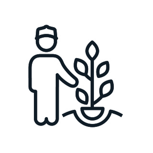 Tree heath care — Norfolk, VA — Xylem Tree Care