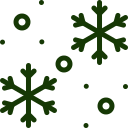 Snowfall — Norfolk, VA — Xylem Tree Care Snowfall — Norfolk, VA — Xylem Tree Care