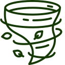 Tornadoes — Norfolk, VA — Xylem Tree Care Tornadoes — Norfolk, VA — Xylem Tree Care