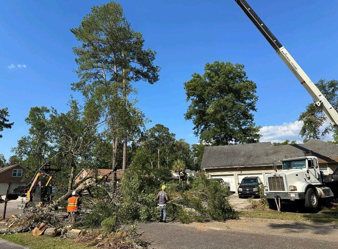 Whackem & Stackem Tree Service 4