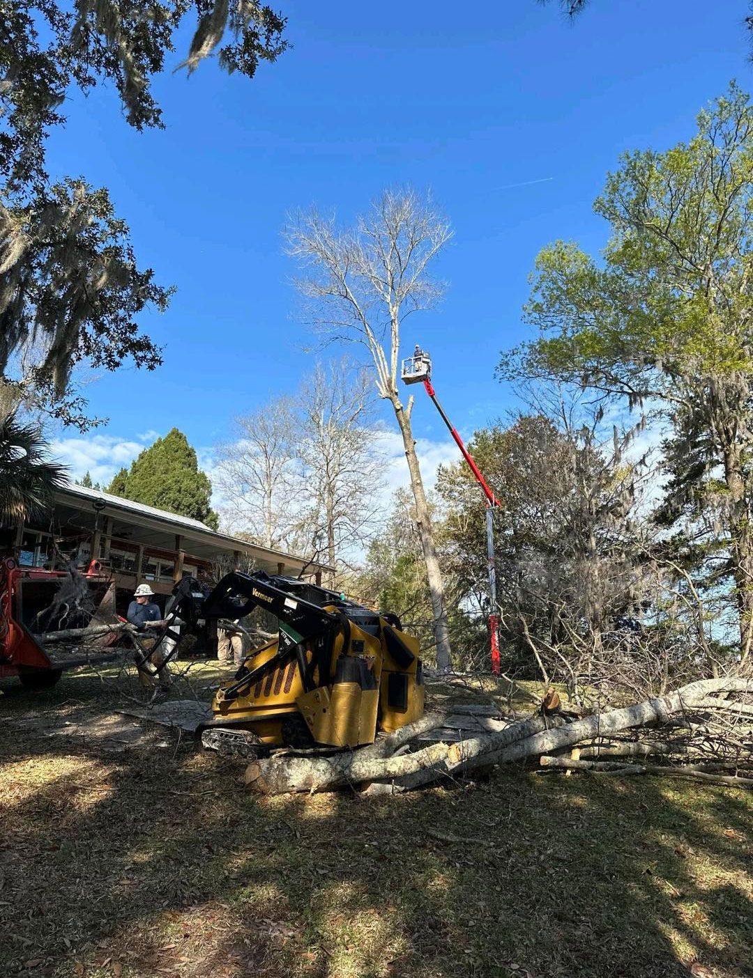 Whackem & Stackem Tree Service 5