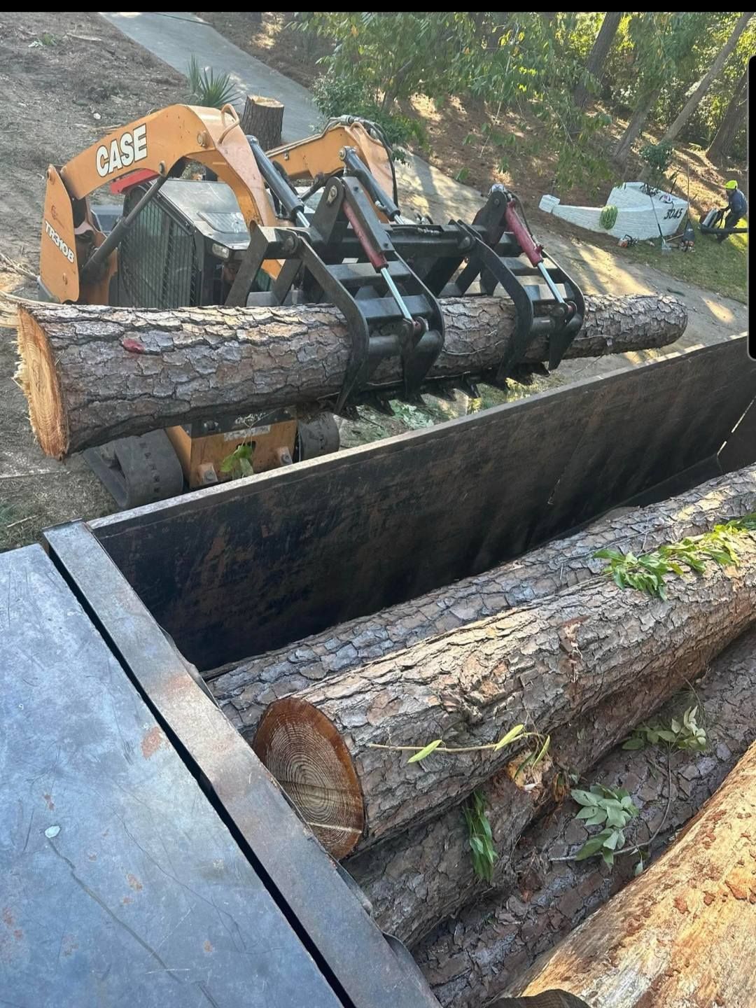 Whackem & Stackem Tree Service 7