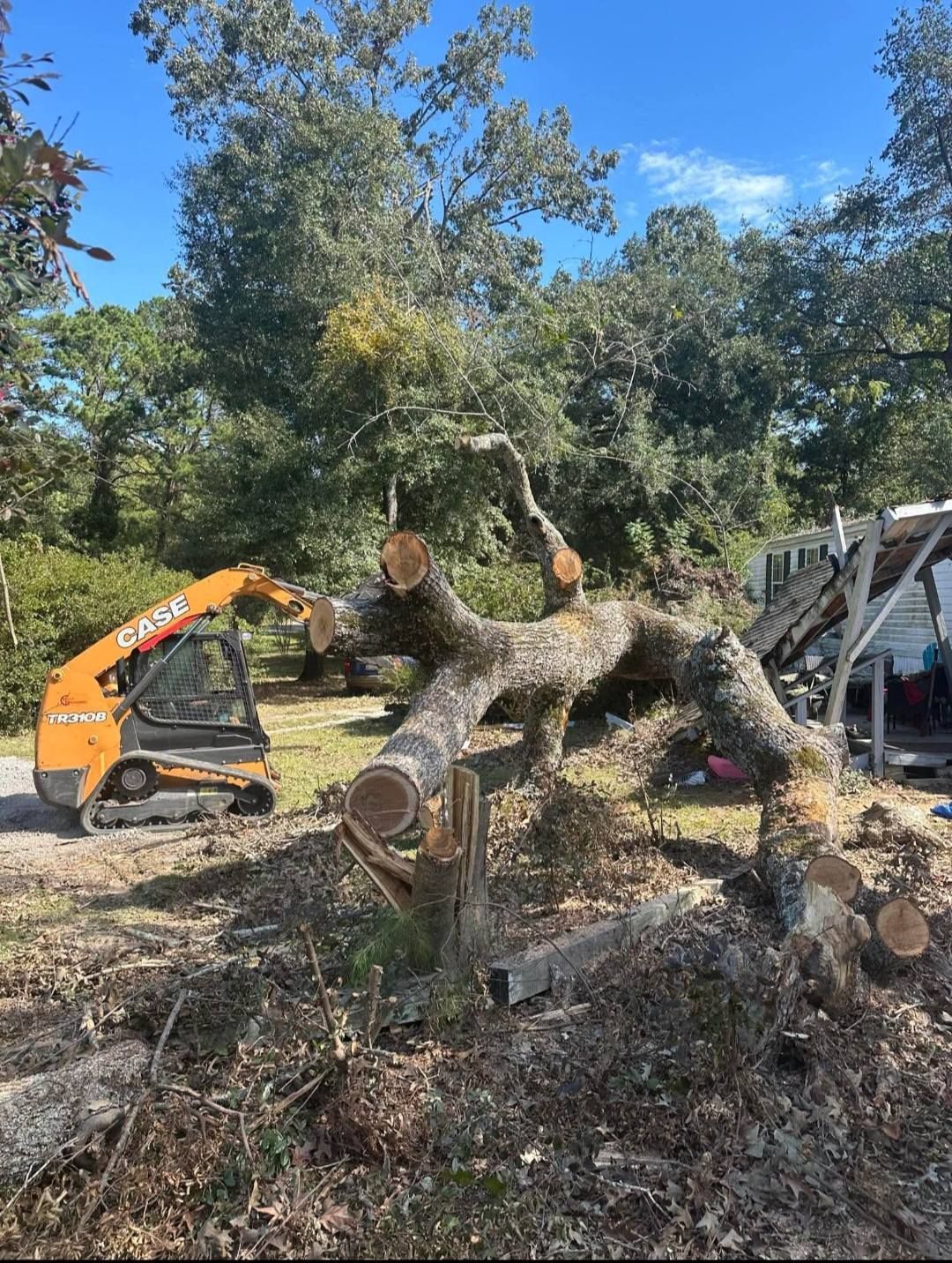 Whackem & Stackem Tree Service 9