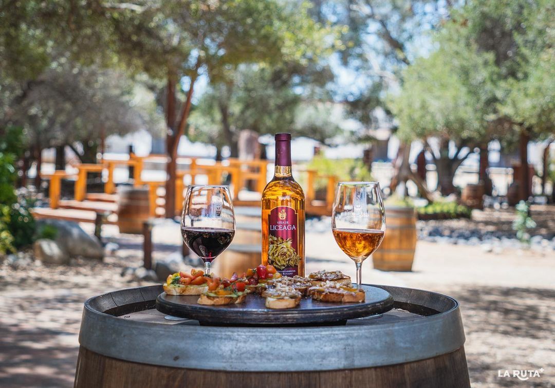 Botellas y copas de vino sobre una mesa hecha con un barril al aire libre en un entorno soleado de jardín.