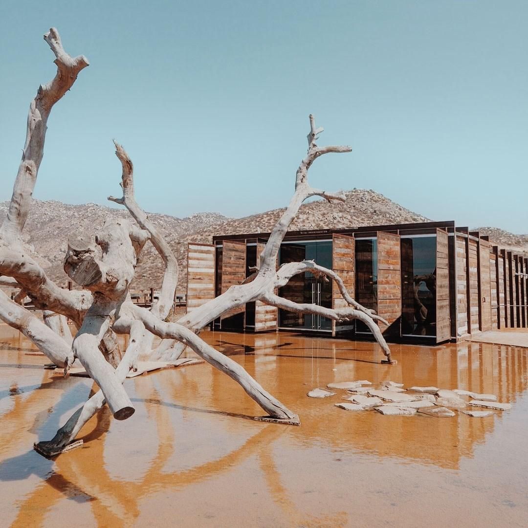 Paisaje desértico inundado con árboles muertos y un pequeño edificio de ladrillos reflejado en agua anaranjada.