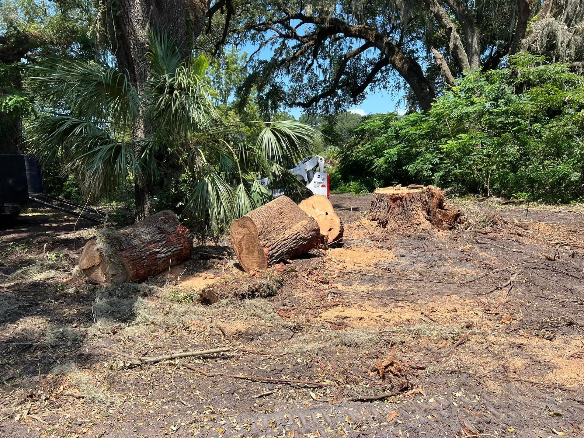 A large tree stump is sitting in the middle of a dirt field.