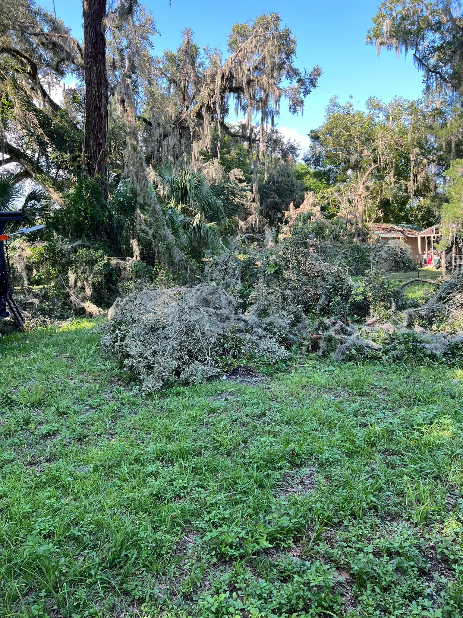 A fallen tree is sitting in the middle of a lush green field.