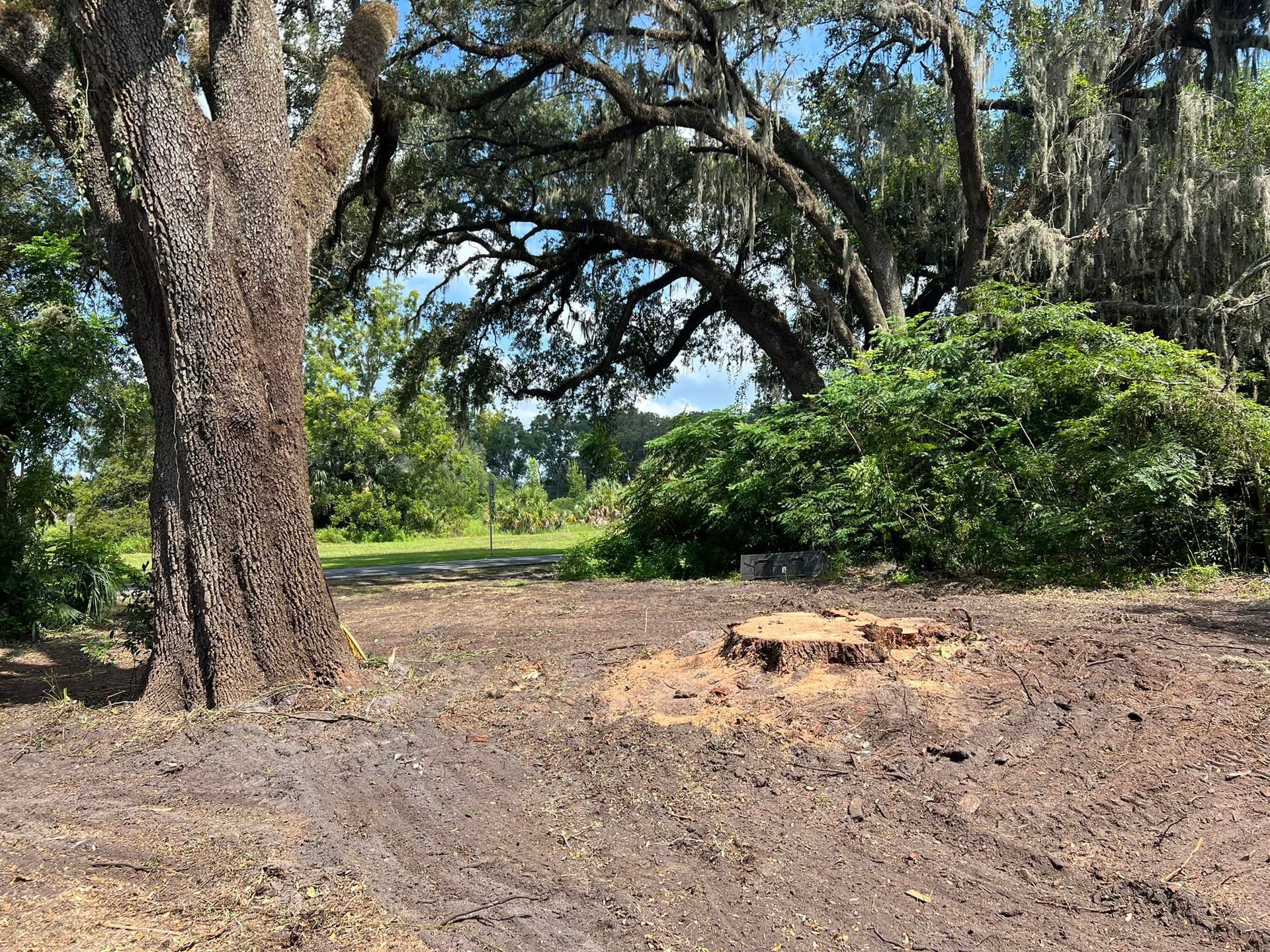 A tree stump in the middle of a dirt field with trees in the background.