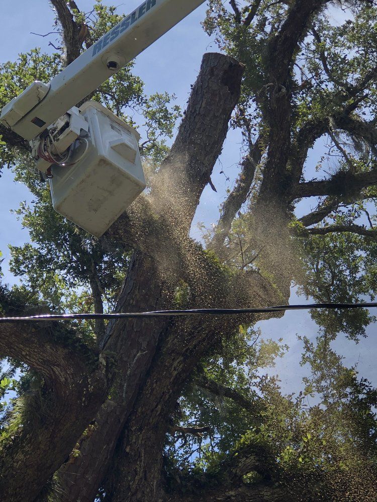 A person is cutting a tree with a crane.