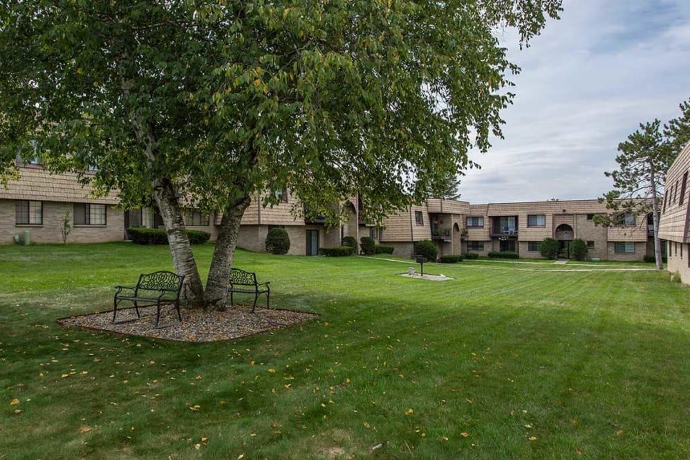A green lawn with a large tree shading two benches, surrounded by beige apartment buildings under a cloudy sky.