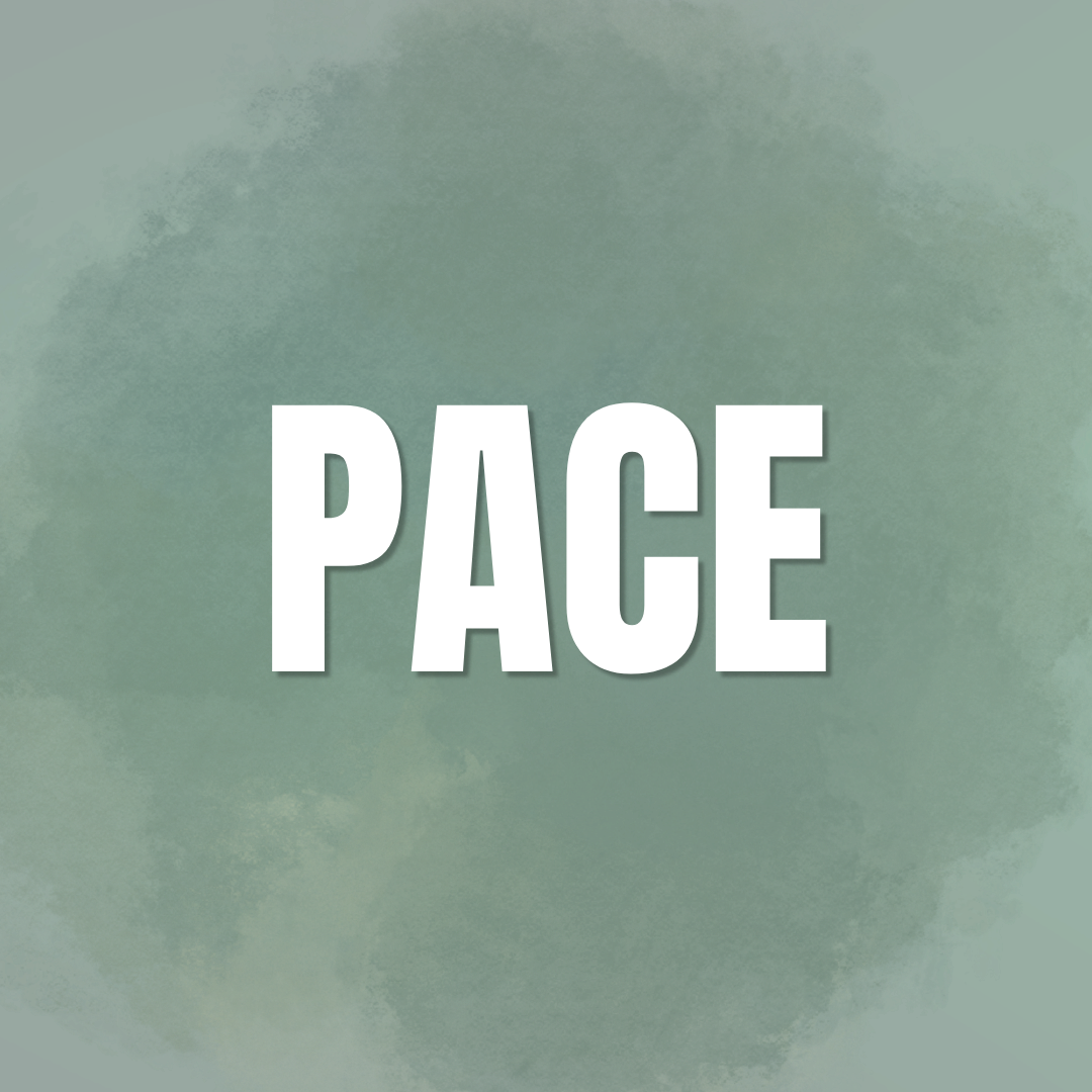 Property management services in Pace Florida offered by Clover