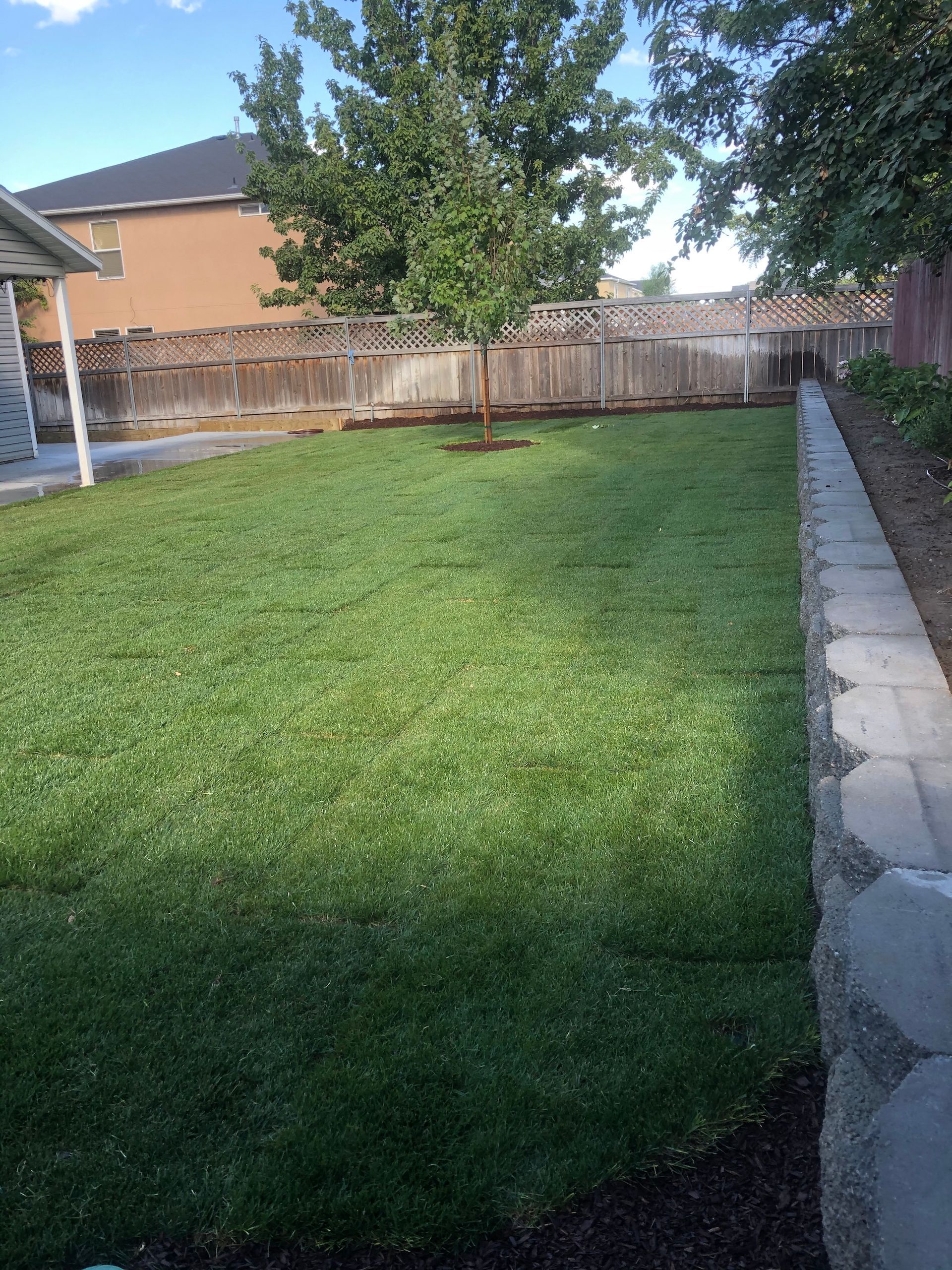Lawn Care