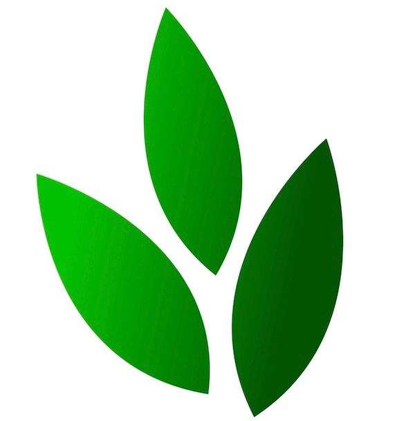 Leaf Icon