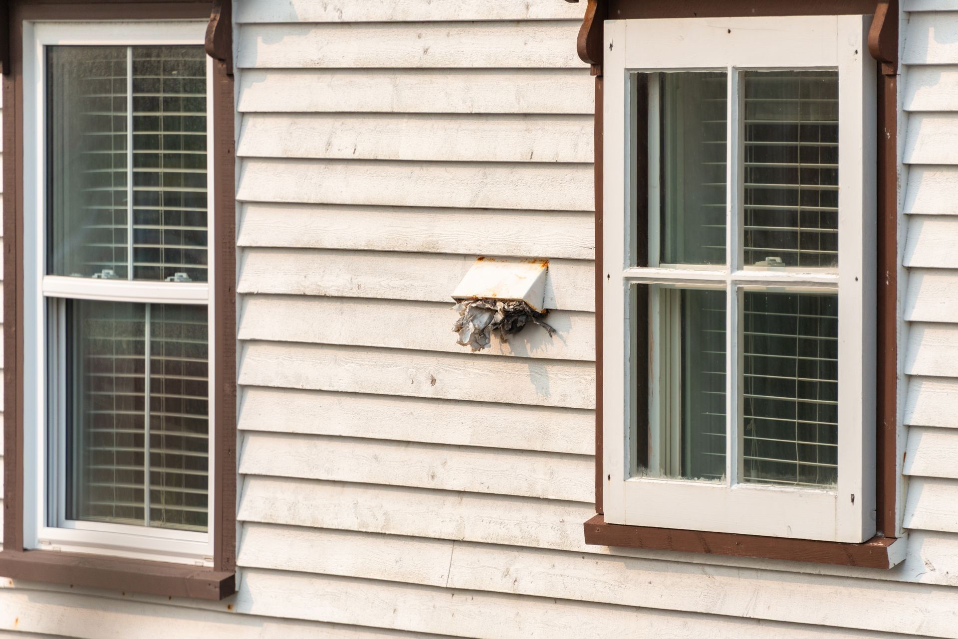 Two windows on a white house with brown trim