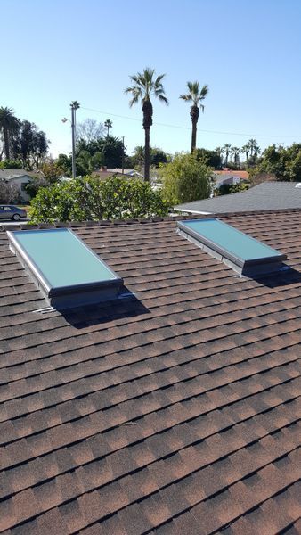 Two rectangular skylights on a brown shingle roof; palm trees and blue sky visible in the background.