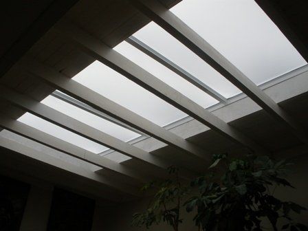 Skylights and supporting beams in a dimly lit indoor space, plant in foreground.
