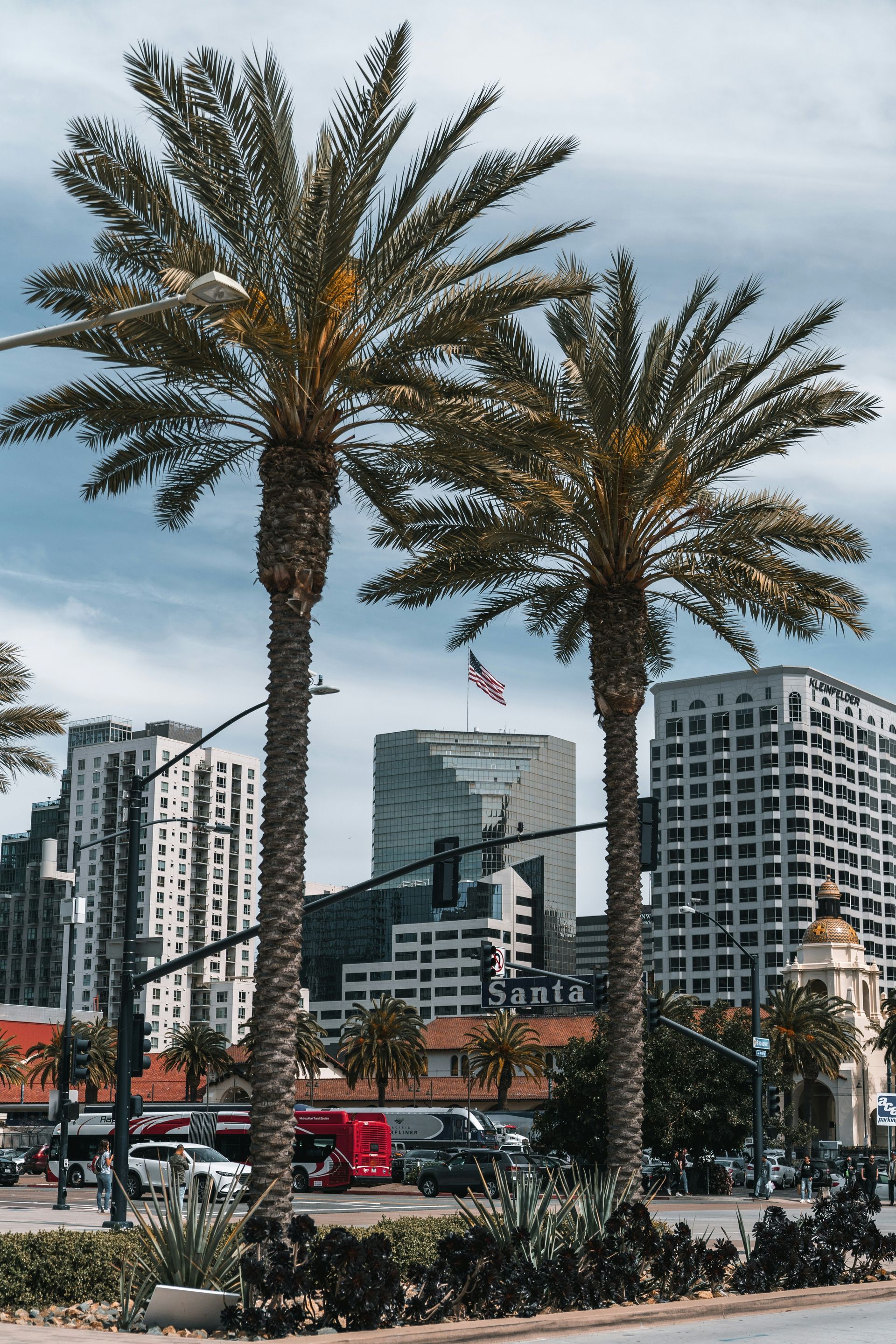Two palm trees are in front of a city skyline.