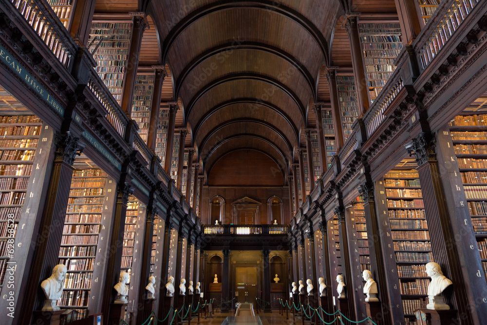 a long hallway in a library filled with books and statues