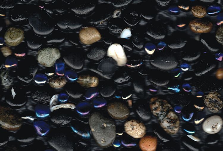 Pool finish | Tampa, FL | Florida Pool Finishers