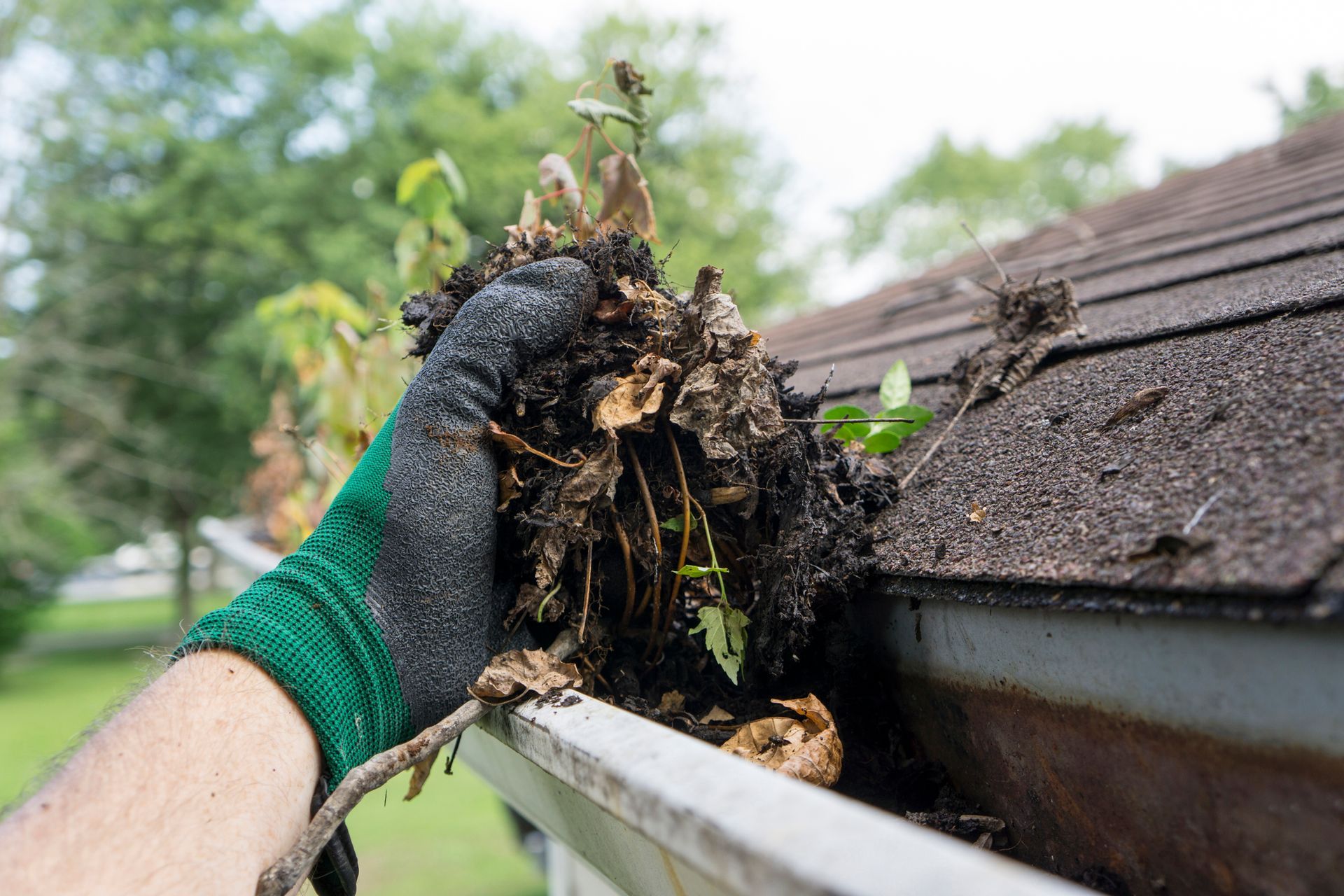 Gutter Cleaning in Princeton, TX