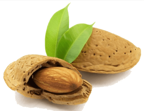 mandorle biologiche benefici