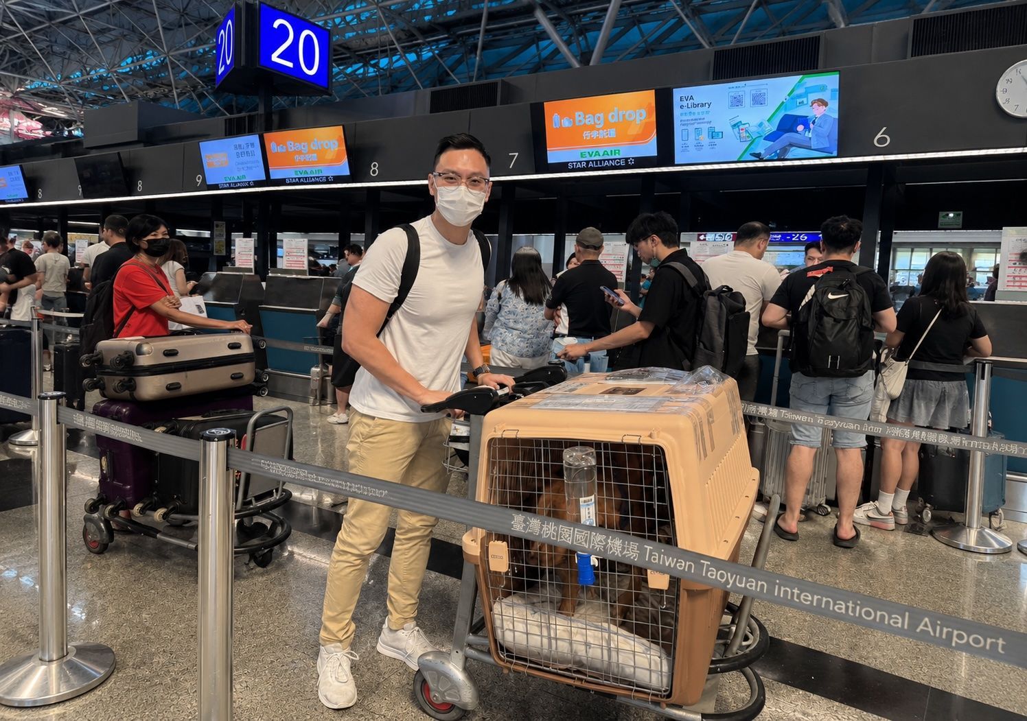 An image representing pet air transport planning, showing a dog and a cat in front of an aircraft.