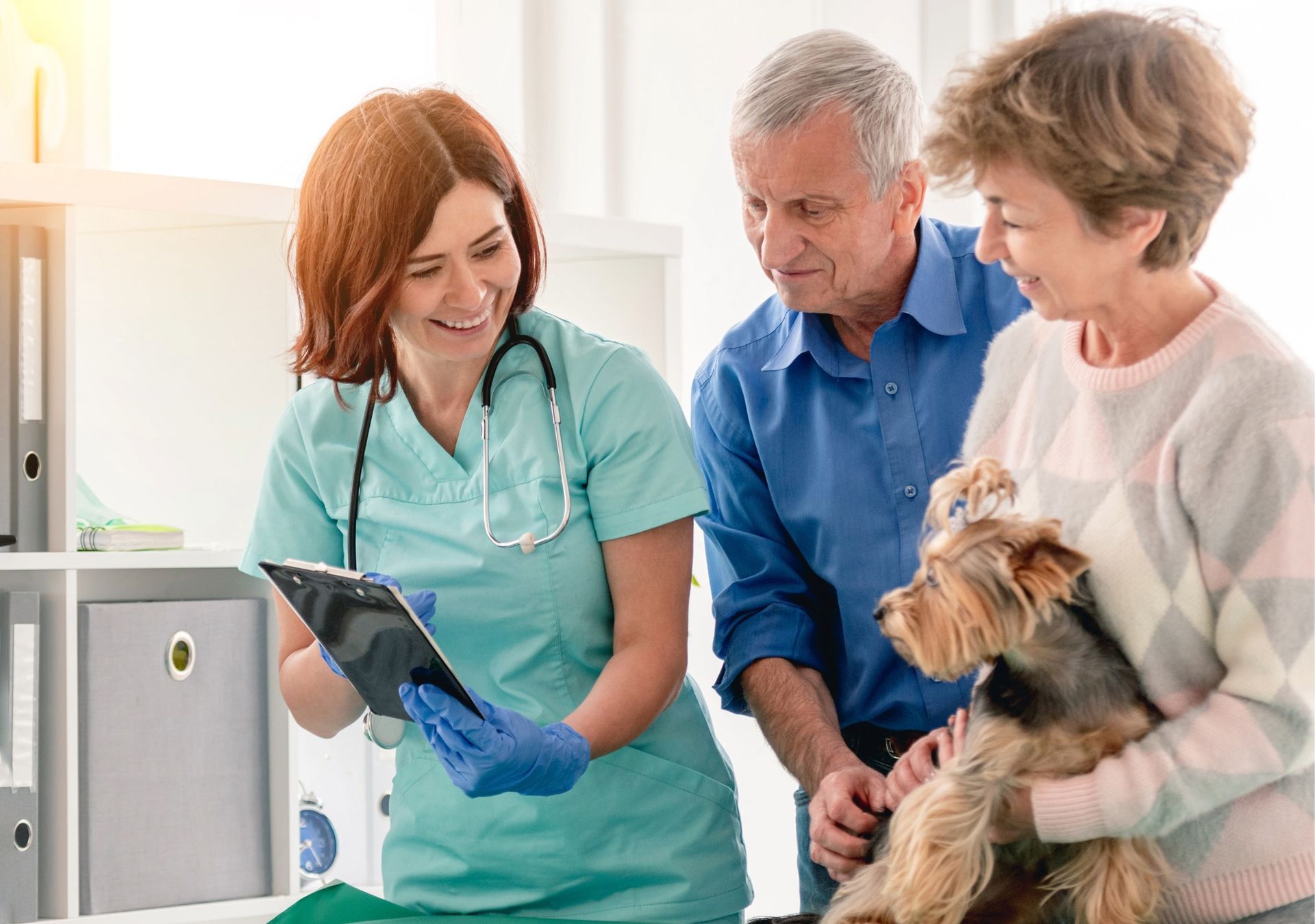 醫療與檢疫顧問 Pet medical testing and quarantine consultation support.