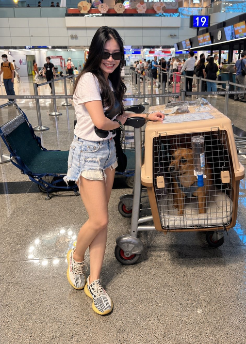 寵物出國旅程規劃意象 - 女子抱著寵物與機票護照，展現帶著毛孩順利移居、安心重逢的喜悅。