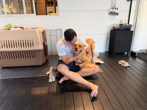 寵物海外生活與返台規畫意象 - 飼主帶著貓咪在異地展開新旅程，展現寵物移居後的安心團聚與生活適應。