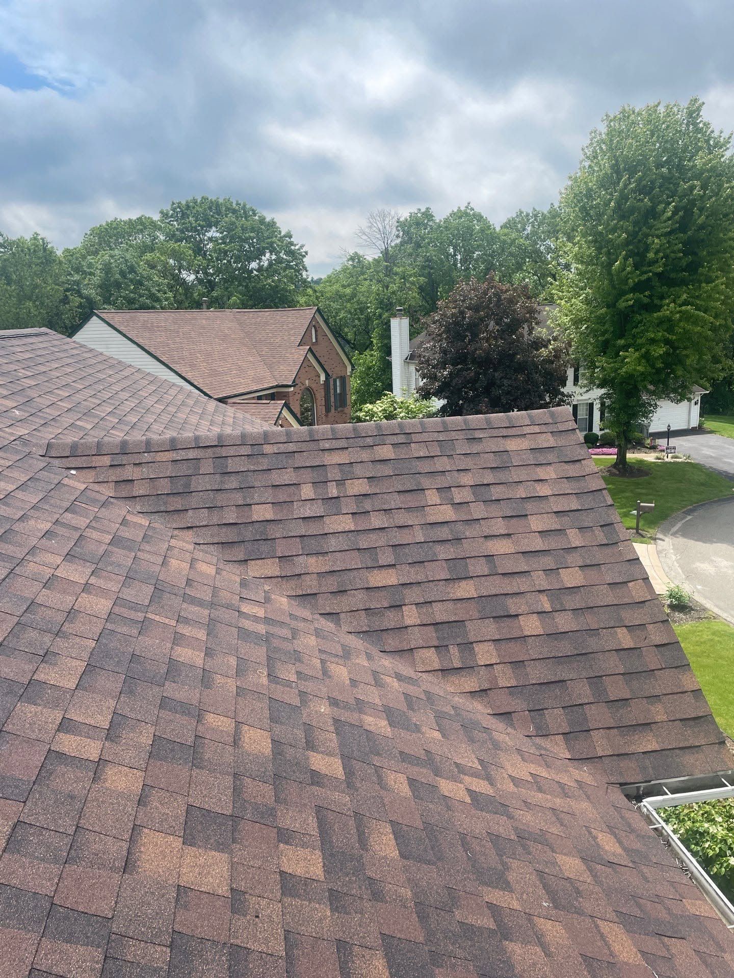 Rooftops with brown shingles in a leafy suburban neighborhood under a cloudy sky