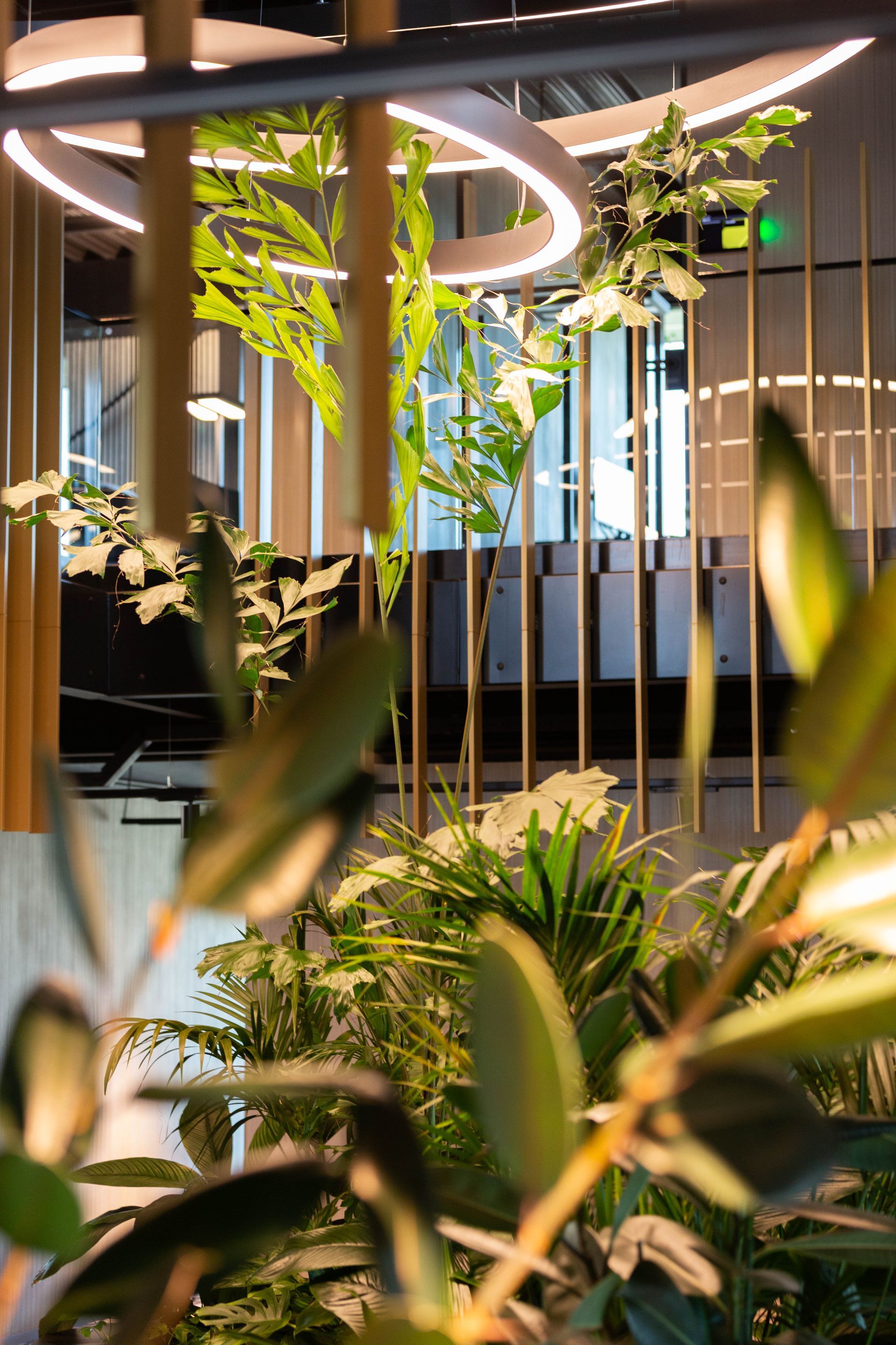 Binnentuin in beeld