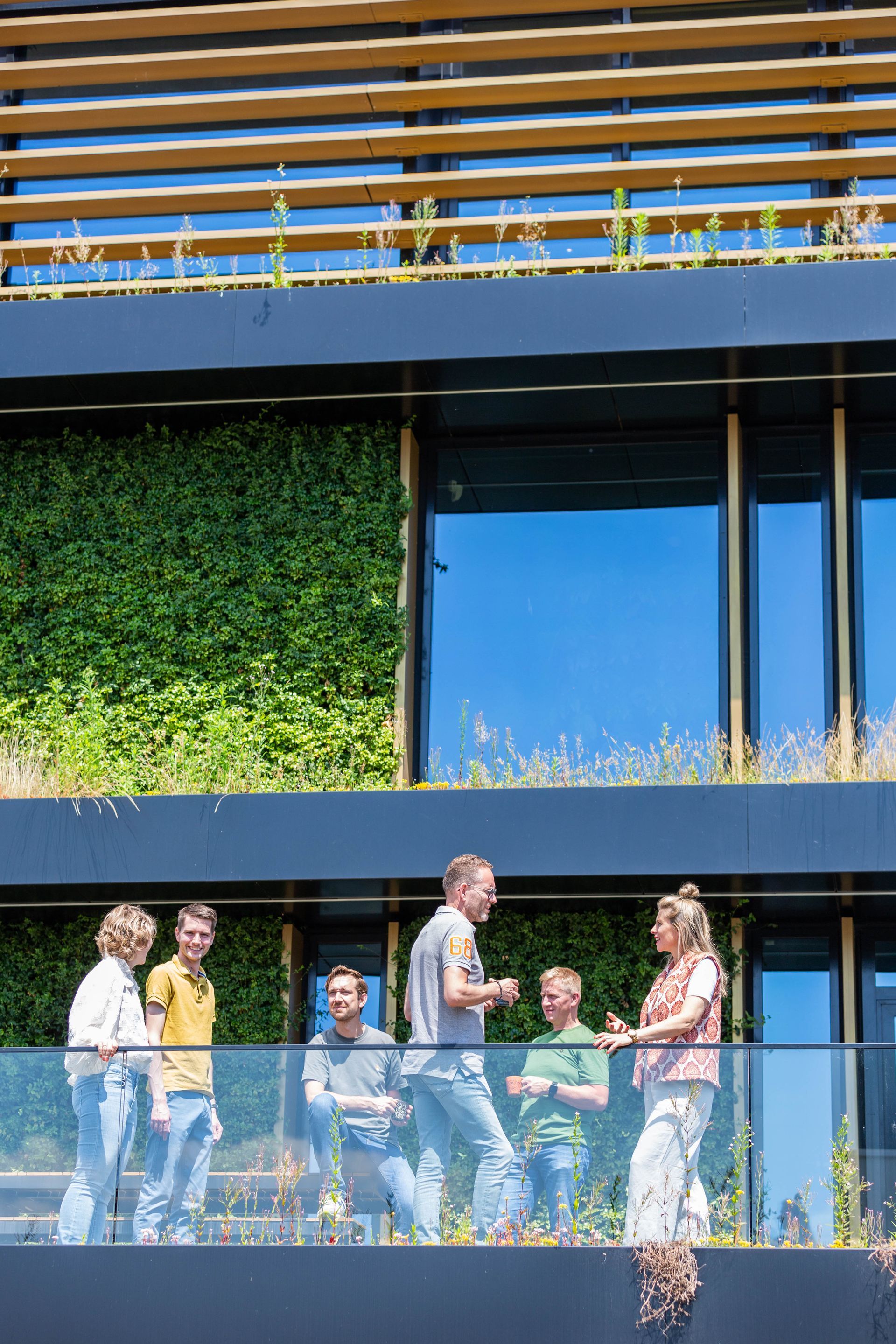 Zijkant groene gevels MCX kantoor