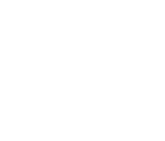 Gelderse vallei ziekenhuis logo