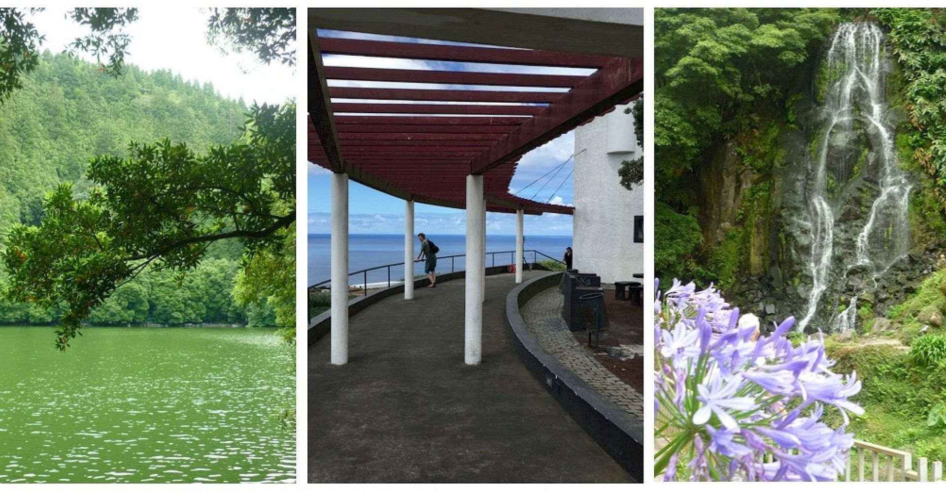 De passie van Jerica MCX