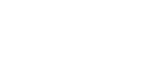 windesheim logo
