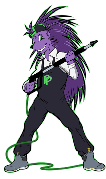 Purple anthropomorphic wolf holding a guitar, wearing black clothes with green accents