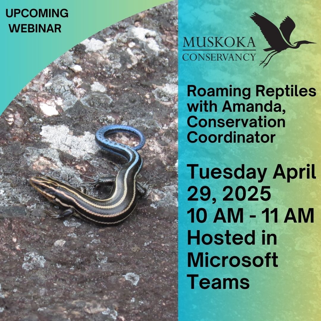 Date – Tuesday, April 29th
Time – 10:00AM – 11:00AM
