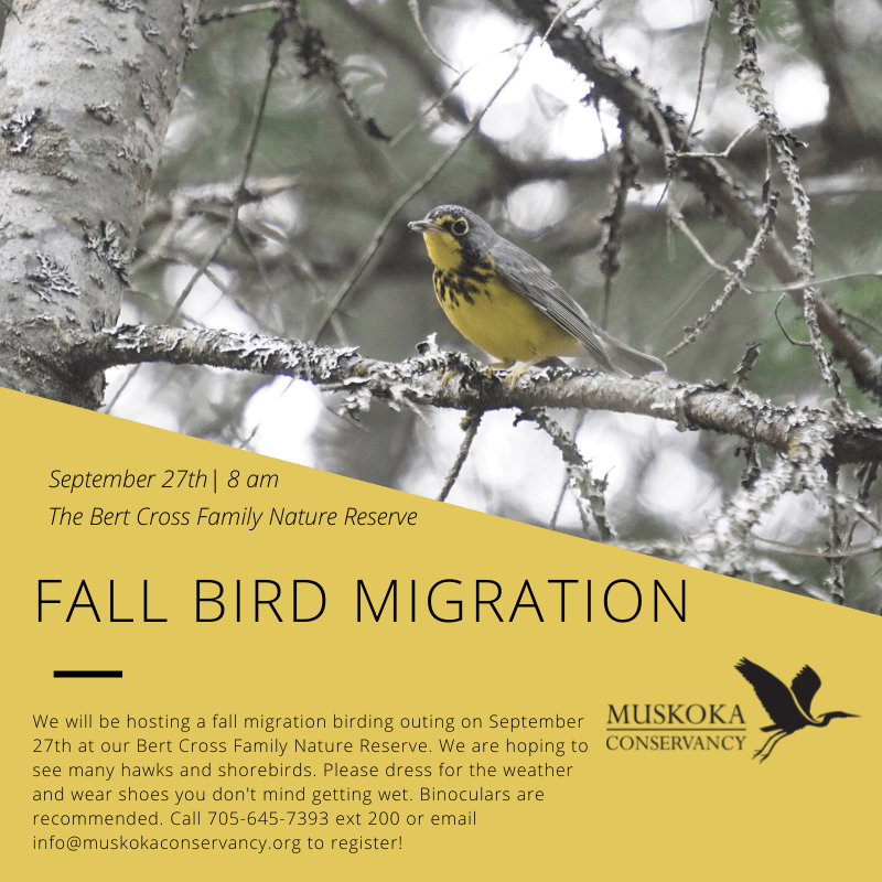 Winter Hike Nature Quest 2020