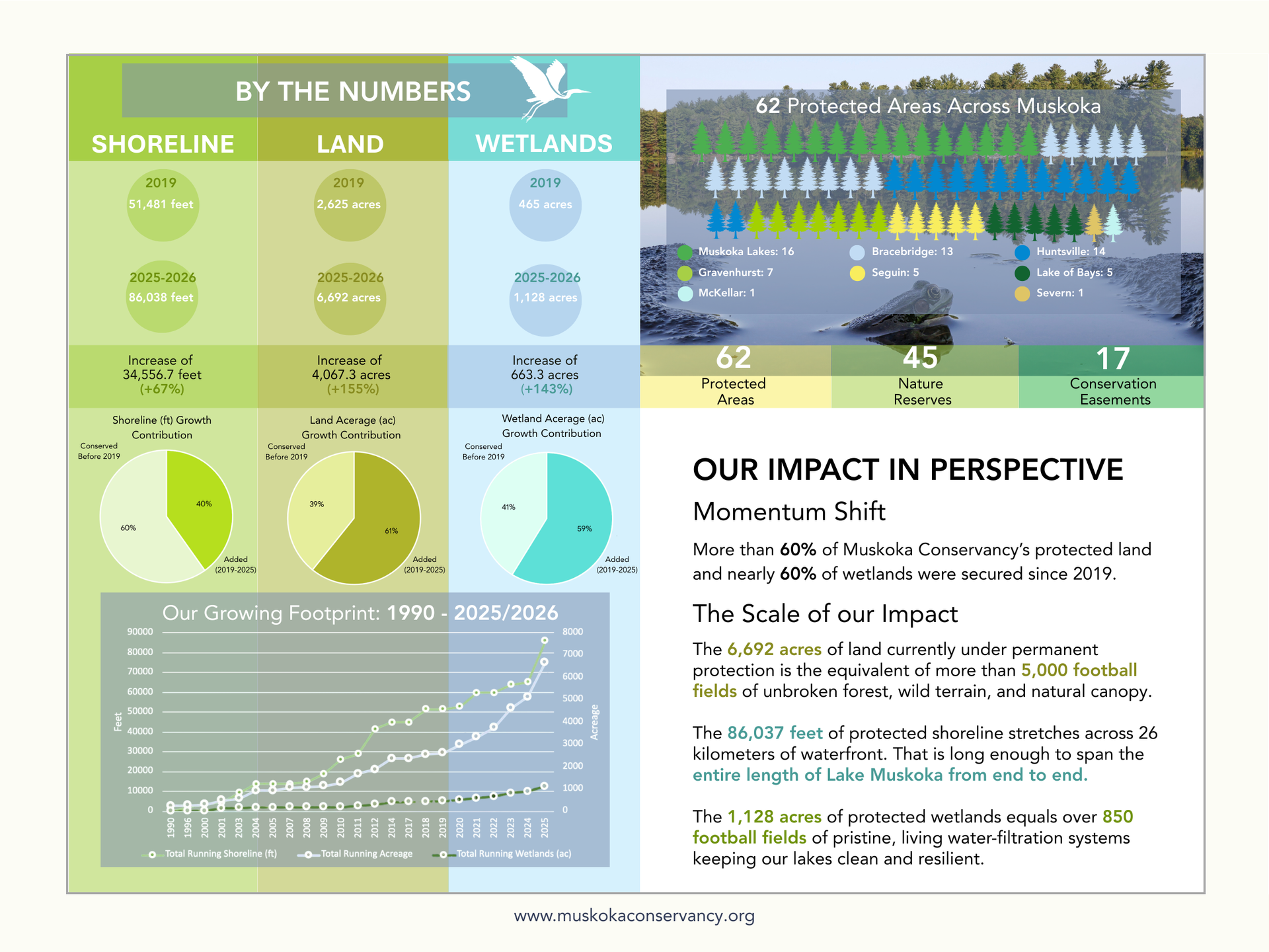 Infographic by Jade Walker. By the Numbers. Muskoka Conservancy's Impact.