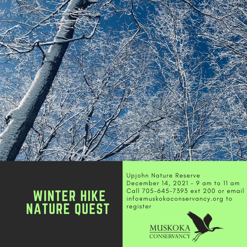 Winter Hike Nature Quest 2020 Winter Hike Nature Quest 2020