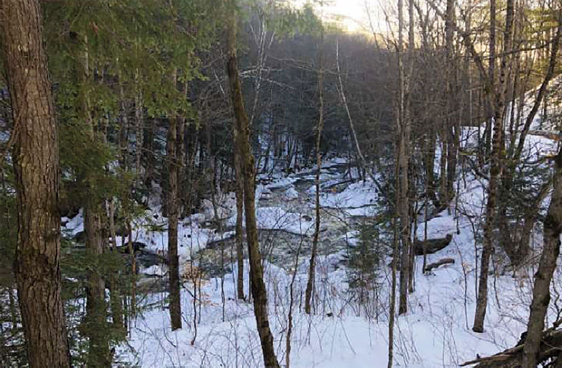 Fowler Construction donates Sage Creek to Muskoka Conservancy