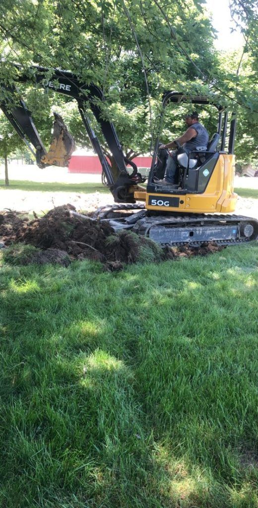 Yellow mini excavator digging in a grassy yard beside a tree, with a worker operating it.