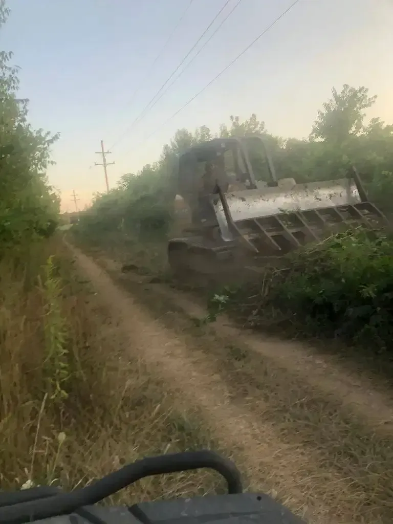 Dusty dirt road beside a parked bulldozer at sunset, with trees and utility poles along the path