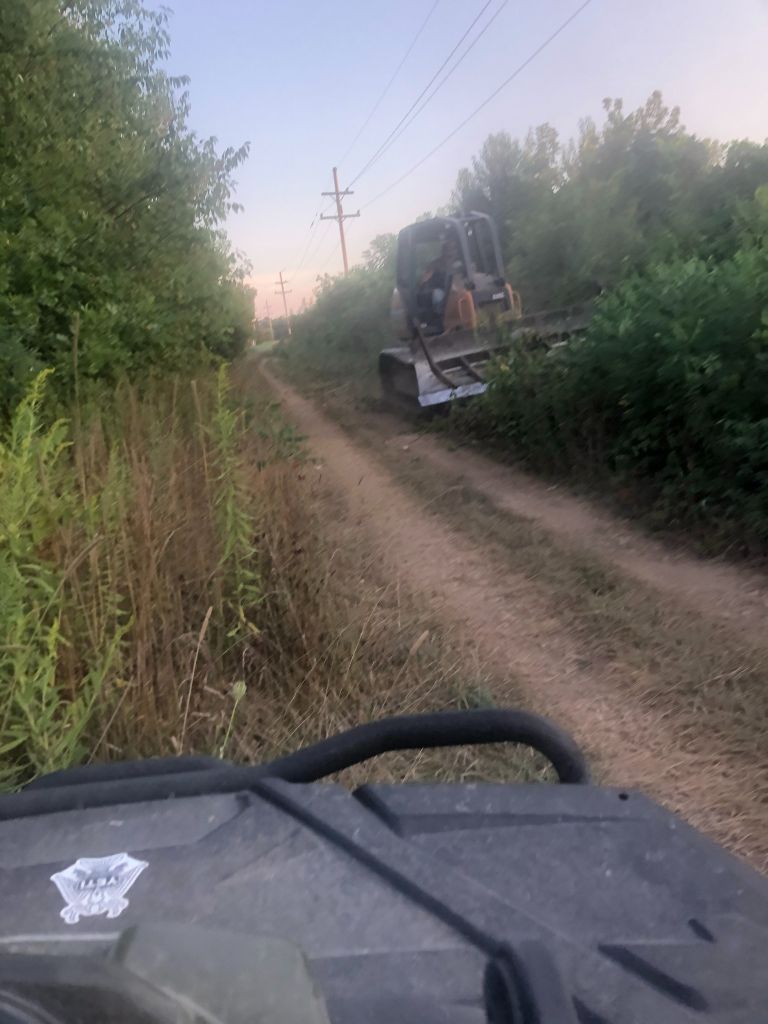 Dirt road through dense greenery, viewed from a vehicle, with a construction machine ahead at dusk