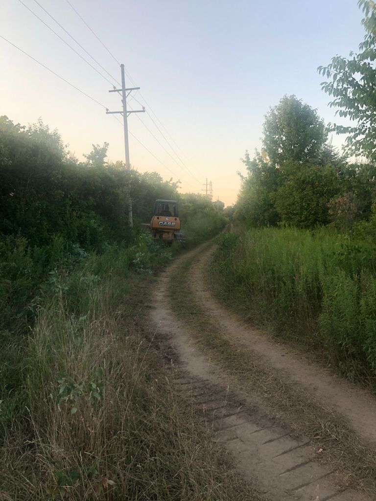 Dirt path winding through tall grass at sunset, with utility poles and trees lining the roadside.