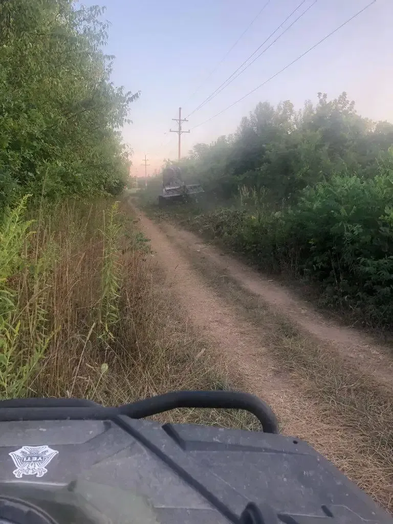 View from an off-road vehicle on a narrow dirt path lined with dense bushes and power lines at sunrise.