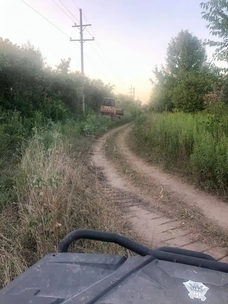 Dirt road curving through brush at sunset, seen from a vehicle, with power lines and trees nearby